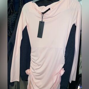 Lioness Pink Long-sleeve Women's Dress